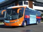 Marcopolo Paradiso G7 1050 4x2 2010 года